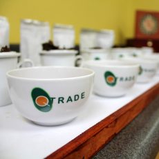 QTrade Teas & Herbs Product Photography
